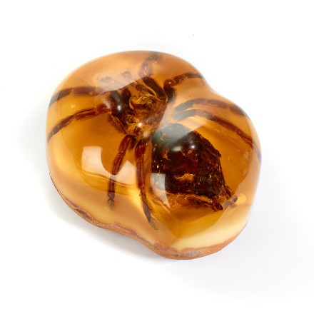 Сувенирный камень &quot;Тарантул&quot;, Янтарь полунатуральный с инклюзом купить