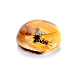 Сувенирный камень &quot;Оса&quot;, Янтарь полунатуральный с инклюзом